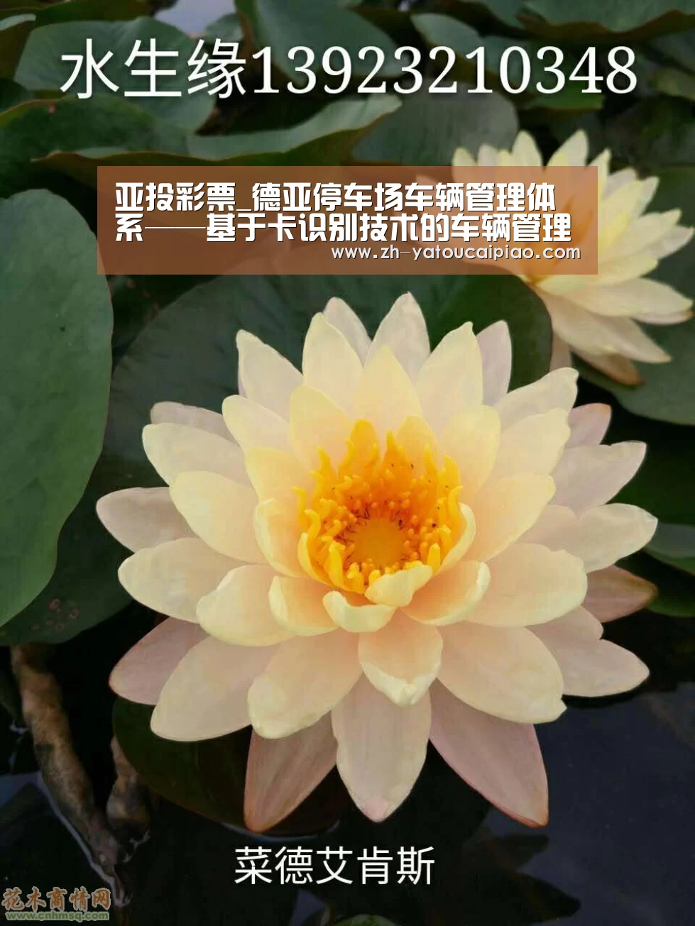 亚投彩票_德亚停车场车辆管理体系——基于卡识别技术的车辆管理