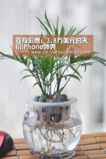 亚投彩票